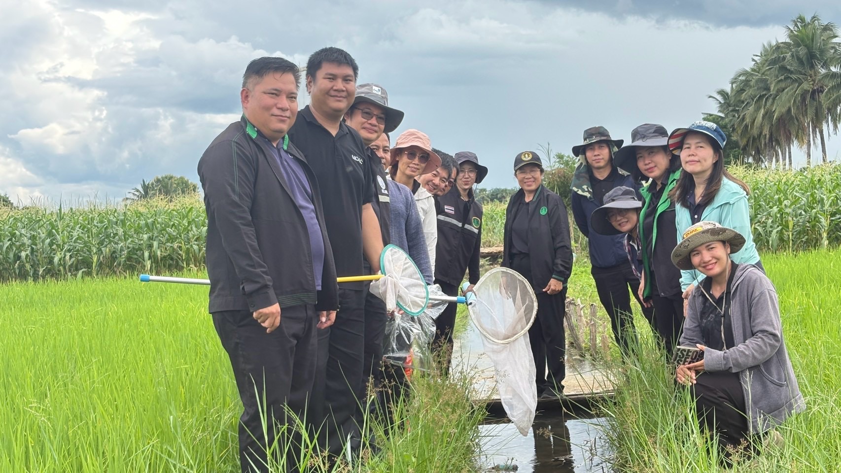 ลงพื้นที่สำรวจแมลงศัตรูพืชในนาข้าว ของพี่น้องเกษตรกรในพื้นที่ตำบลศรีวิชัย